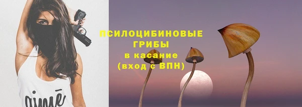 тгк Богородицк
