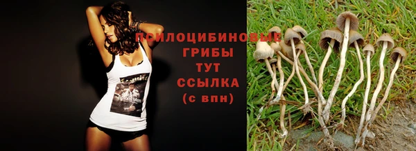 амф Богданович