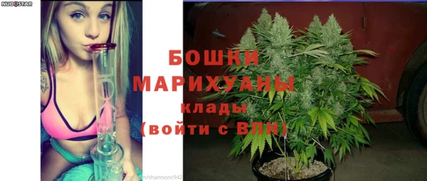 МДПВ Верхний Тагил