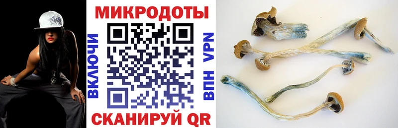 Псилоцибиновые грибы Magic Shrooms  Наро-Фоминск 